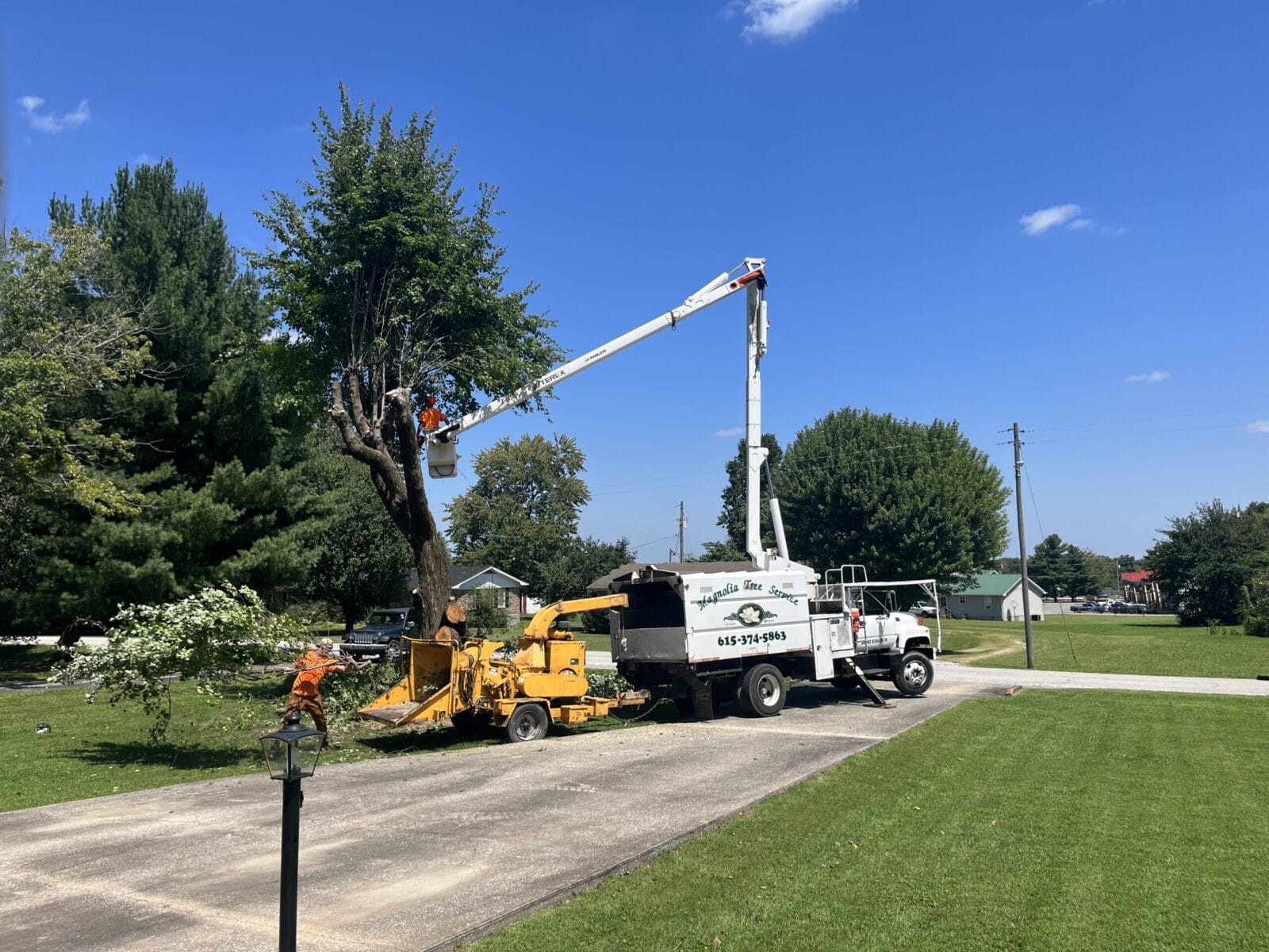 Tree Trimming in Bethpage TN